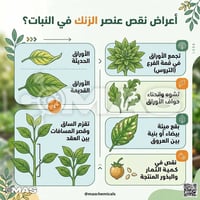 نقص زنك • تقزم النبات • أوراق صفراء