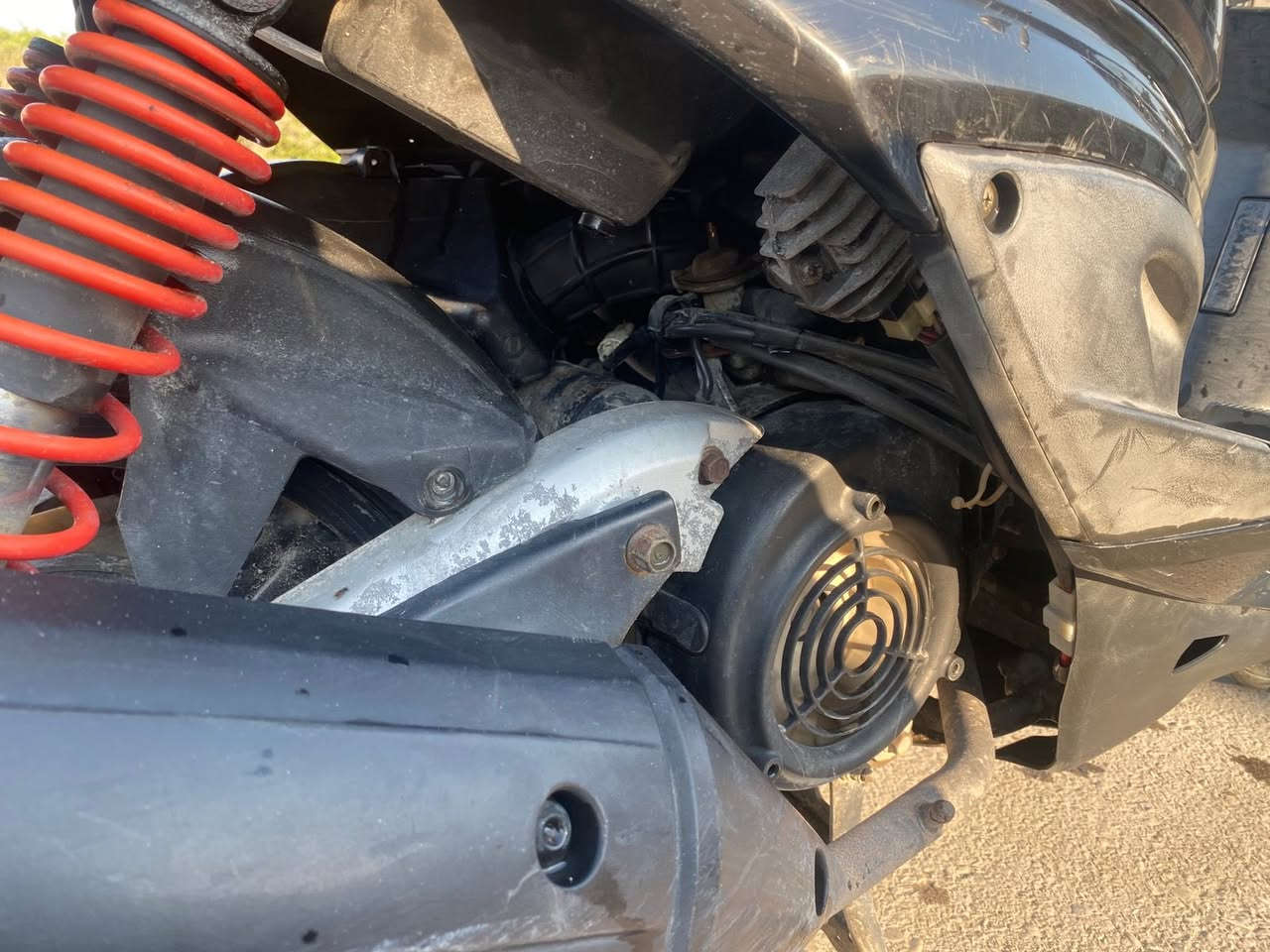 سكنس فحل للبيع كفالة عامة مابيهة اي نقص مبدل كلج امامي فقط الدراجة رمبة صالهة 5 اشهر من نازلة 900 وبيهة مجال بغداد الشعب ***********
