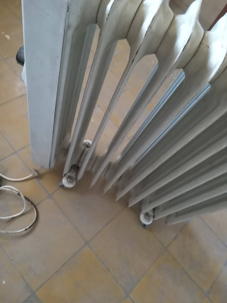 الأصلية القديمة سعر ٥٠ الف عطلها بسيط طفت فجأة وما صلحناها ..بغداد المشتل


**إذا كنت صاحب هذا الإعلان وتريد حذفه لأي سبب، رجاءا أرسل رسالة إلى الدعم الفني**