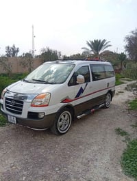 استاركس • ٢٠٠٤ • ديالى بلدروز