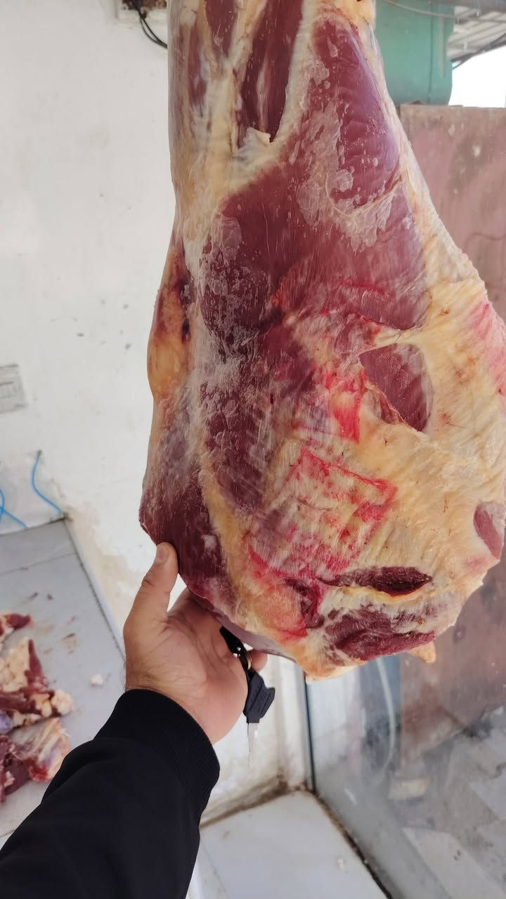 مندوب توصيل داخل الرميثة وخارج الرميثه وباسرع وقت متوفر 24 ساعه كل ماتحتاجه العائله *********** علق وكون سبب في رزقي #الرميثه
