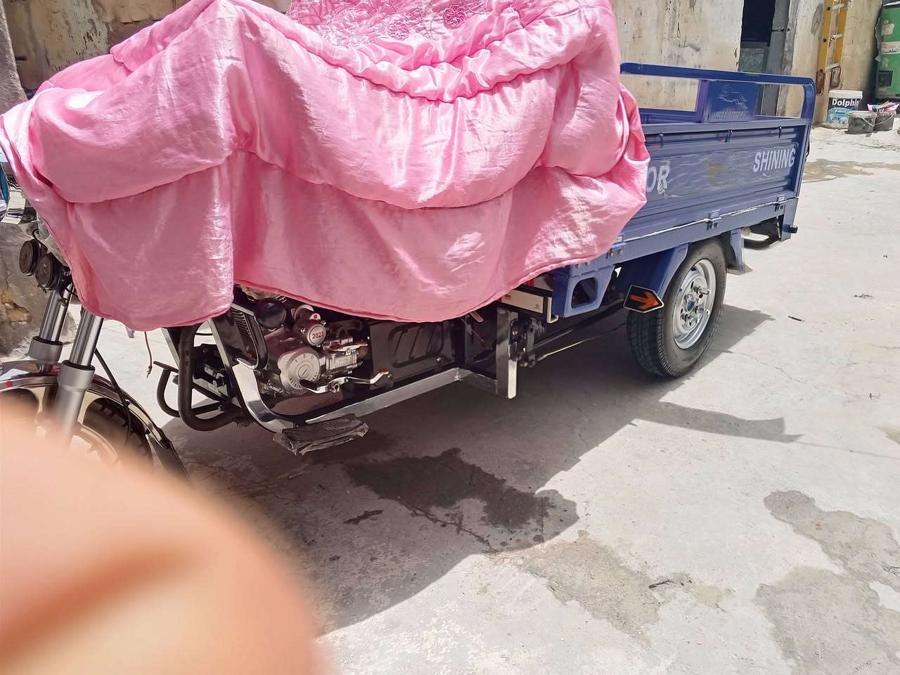 شباب ستوته.جمىره للبيع مال بيت وصاله فوك السنه ماطالعه مضمومه
ستوته مديل 23 شهر ال6 بس بعده بل جيس اسبيره مانازل مكفوله من كلشي تجي وتكلب وتفحص وين مايعجبك اوراق مامرقم السعر ب 3 ملاين و 100 وبيه مجال حك الجيه الشراي ينتصال وبل خدمه مكان ناصريه قضاء الغراف @إشارة هيه وغراضه برغي ماافتح منه


**إذا كنت صاحب هذا الإعلان وتريد حذفه لأي سبب، رجاءا أرسل رسالة إلى الدعم الفني**