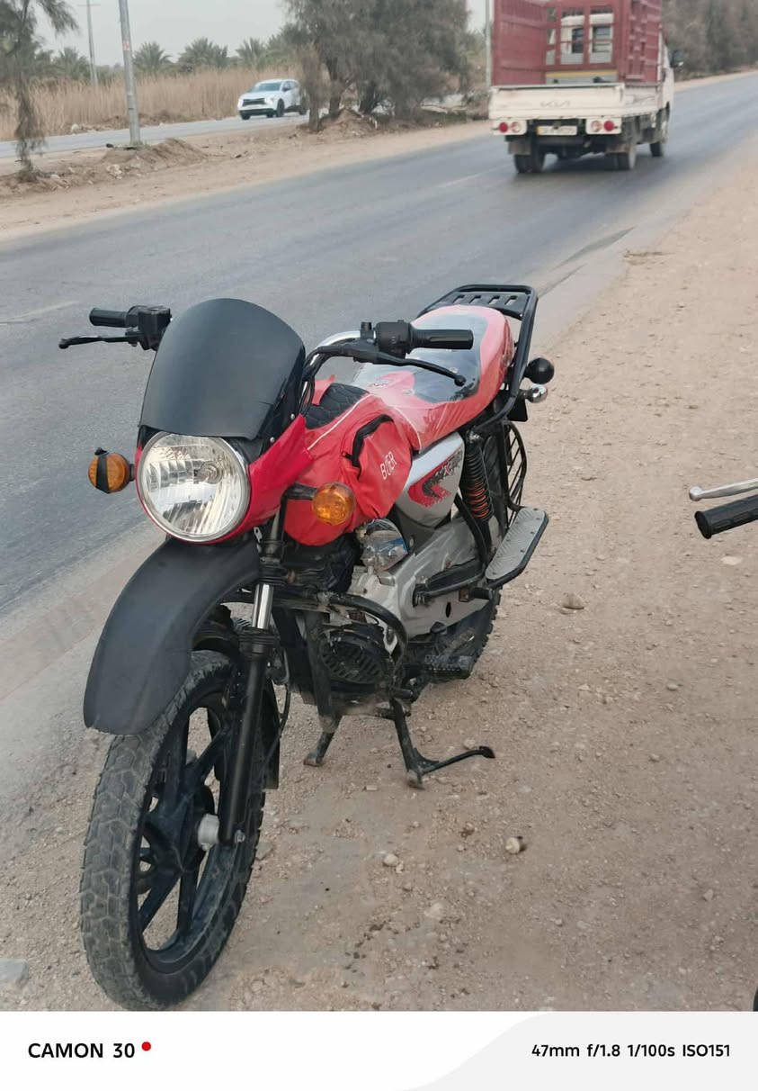 بوكسر 20جبلي اوراق اصولي
مكاني بابل ***********
