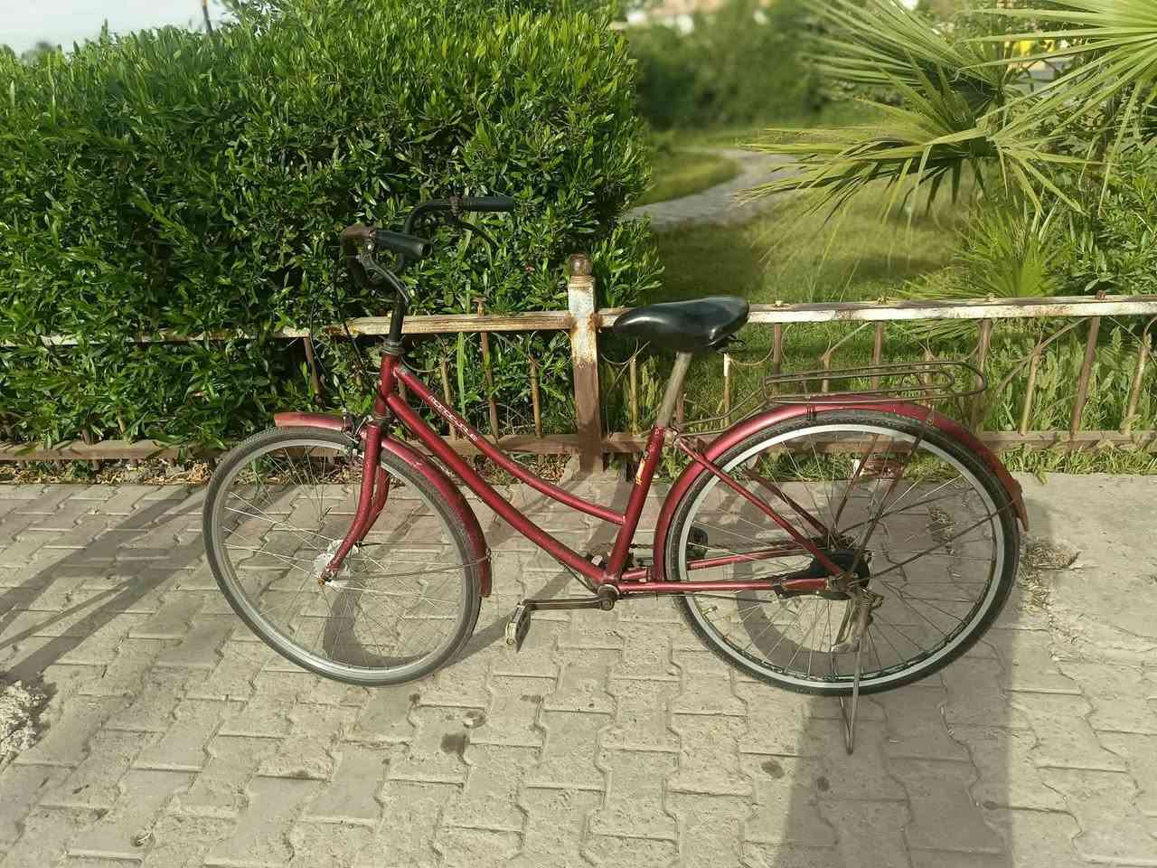 السلام عليكم الباسكل للبيع حجم 26 الباسكل نضيف ما بي أي شيء السعر 50 وبي مجال


**إذا كنت صاحب هذا الإعلان وتريد حذفه لأي سبب، رجاءا أرسل رسالة إلى الدعم الفني**