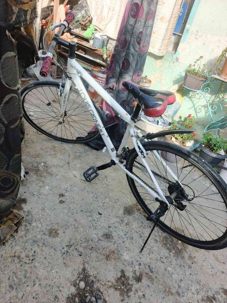 متاح باسكل سعر 100 بي بس فطر بلويل زقير وكطعلك حك ويل فول نضافه


**إذا كنت صاحب هذا الإعلان وتريد حذفه لأي سبب، رجاءا أرسل رسالة إلى الدعم الفني**