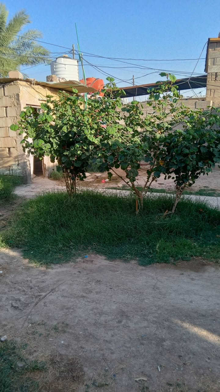 للبيع بيت مساحه 250حي سكينه السعر 18وبي مجال ***********
