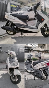 سكنس فحل لي بيع راح يصيرله شهرين من خذته من الرمبه  مكاني حي العامل 07...