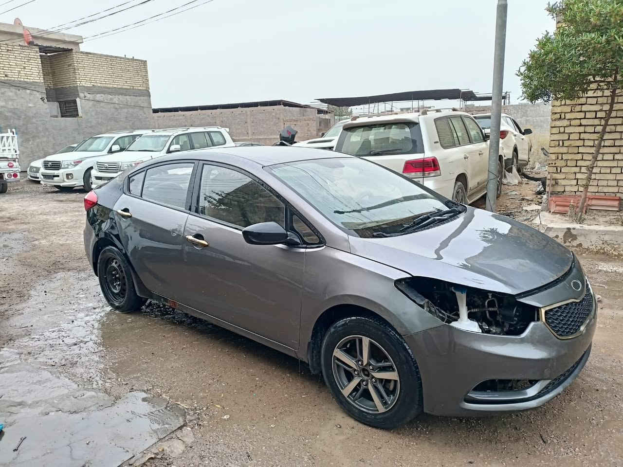 ً


**إذا كنت صاحب هذا الإعلان وتريد حذفه لأي سبب، رجاءا أرسل رسالة إلى الدعم الفني**