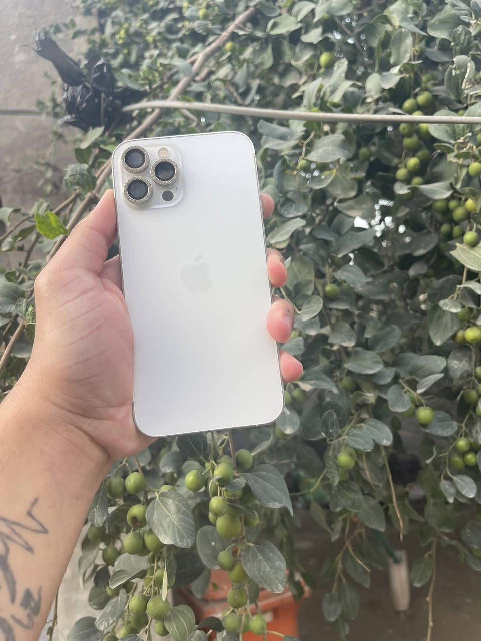 ايفون 12برو ماكس امريكي ذاكـره  /512
البطاريه ٨٠ ببلاديه

عندك فقط الكامره الكامره ٢.٥واكفه بسبب تحديث وال ١x

شغاله طبيعي كامرته تخبل 

تليفون امانة الله مال بيت  ملاحظه تليفون غير داخل صيانه 

افحص وين متريد 

سعره ٥٥٠ وابي مجال بسيط مكاني بابل رقم الهاتف ***********
