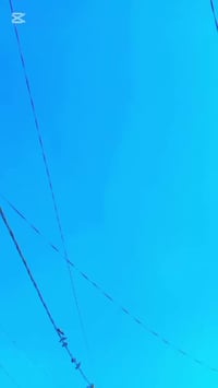 فينو • من الحاوية • نجف