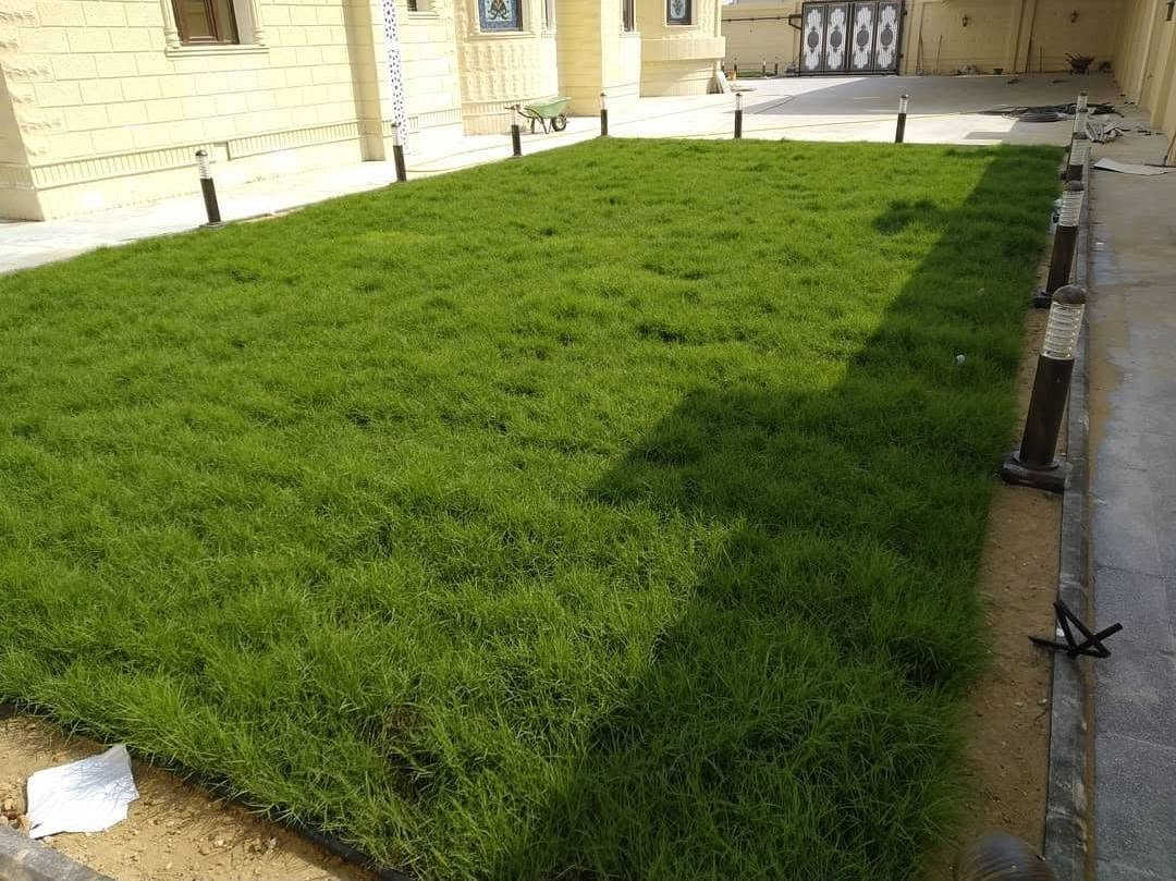 🌿 ثيل أسترالي طبيعي 🌿

نوفر ثيل أسترالي عالي الجودة، يتميز بلونه الأخضر الكثيف، ومناسب للحدائق المنزلية والفلل والشركات.

✅ ملائم لأجواء البصرة الحارة.
✅ يتحمل درجات الحرارة المرتفعة.
✅ يتحمل ملوحة المياه بدرجة جيدة.
✅ يمنح حديقتك مظهرًا أخضر طوال العام مع العناية والري المنتظم.

🚚 يتوفر توصيل إلى جميع مناطق البصرة.

💰 أسعار منافسة.

📞 للاستفسار أو طلب زيارة الموقع:
***********
***********

كما نوفر خدمات متكاملة تشمل:
✔ تسوية الأرض.
✔ تنفيذ منظومات الري.
✔ تصميم وتنفيذ الحدائق.

#ثيل_استرالي
#ثيل_طبيعي
#تنسيق_حدائق
#لاندسكيب
#حدائق
#زراعة
#البصرة
#العراق
#Basra
#Landscape
