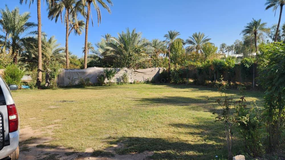 السلام عليكم بستان للبيع في كربلاء المقدسة الإبراهيمية واجه88 م نزال 45 م
معا بيت بناء طابوق مسلح 200 م
وبقطعتين مدفونة 200 ب200
ومع حديقة 60 م
 عدد نخلة 70حمال ونشو 
حمضيات مشمش وكوجه ونارنج ورمان وسفرجل وزيتون وتفاح وتكي وتين ولنك الدنيا
معا أشجار حمضيات 
سعر650ميليوان وبي مجال
 طابو زراعي سند25
 الاتصال علي ***********
