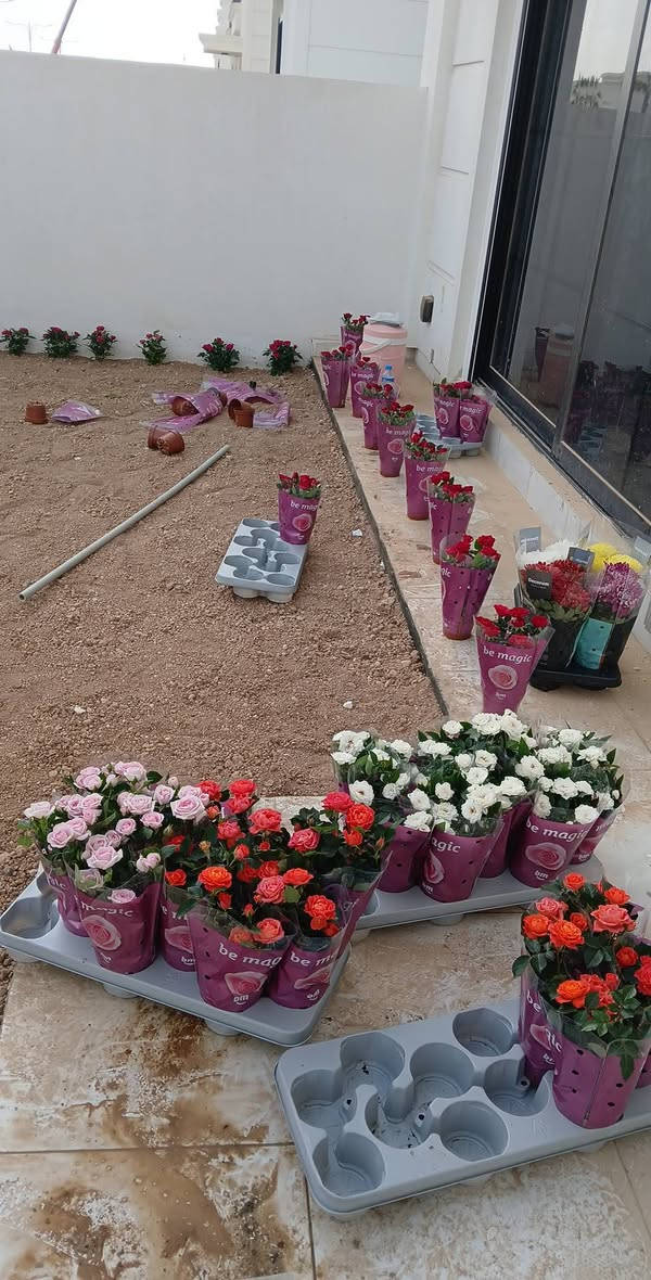 گروپی باخەوانی  .ئامادەین بۆ دروست کردنی باخچە و چاندنی فریز بە باشترین و نوێترین شێوازی سەردەم
ژ.م ***********مجموعة بستنة. مستعدون لإنشاء الحدائق وزراعة التجميد بأفضل وأحدث الطرق الحديثة.
رقم الهاتف: ***********
***********
@إشارة
