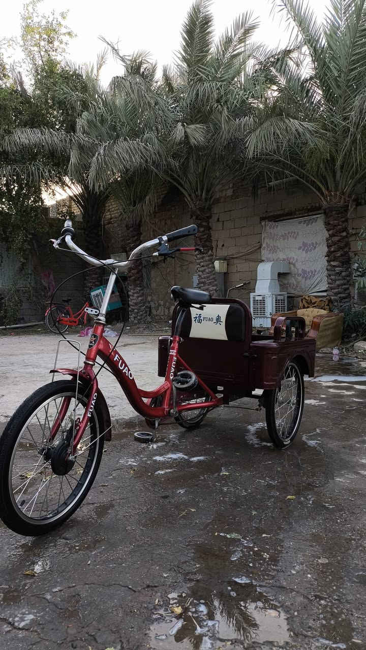 سلام عليكم للبيع
باسكل ياباني 🇯🇵 ستوتة يجي بدي و كشن (( قلاب))  
الباسكل جديد ب معنى الكلمة و نضيف شرط ياباني 
السعر 250 و بي مجال للطيبن 
مكان نجف لاشرف رقمي *********** وبل خدمة اني 
(( مكلف بل نشر))
