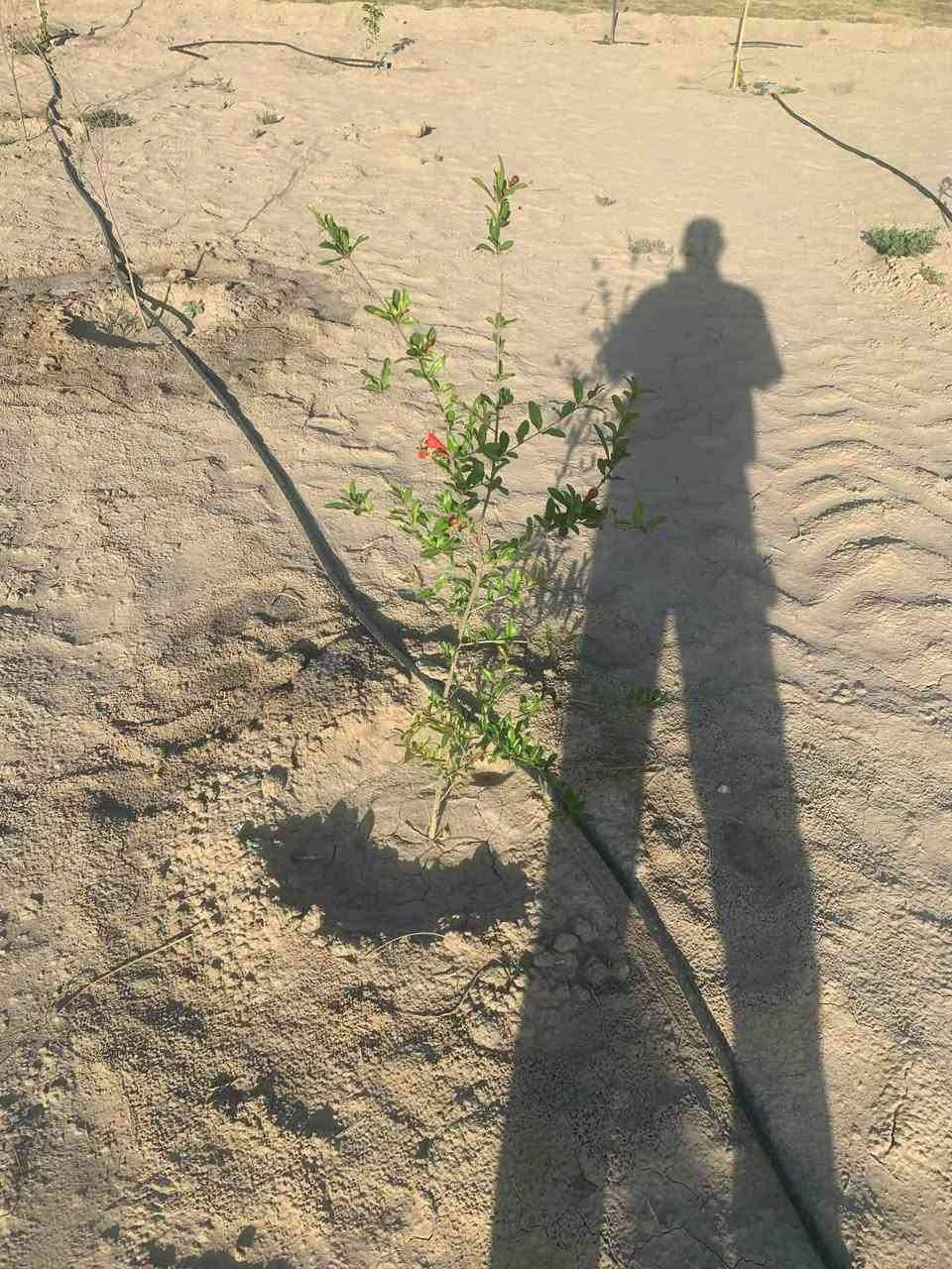 السلام عليكم
للبيع قطعه أرض المساحه نص دونم  طابو زراعي سند 25 تحويل مباشر كافه الخدمات متوفره تبعد عن طريق حله نجف كيلو تقريبا التبليط قرب جامعة بابل الصورة من واقع الحال تفاصيل اكثر اتصل على:. ***********
او مراجعة #مكتب #الغدير #للعقار الكائن خلف جامعة بابل
