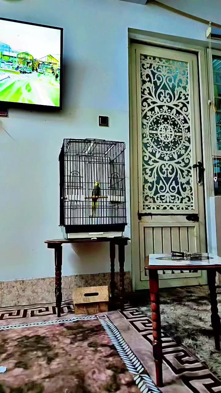 ا
السلام عليكم قفص للبيع السعر 25 فقط يحتاجلو تنضيف مرتب حيل لحد يكسر بي   رقمي بي واتساب. ***********
