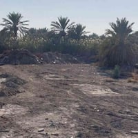 حلة شارع كربلاء • ٤٠٠م+ • بناء/مخزن