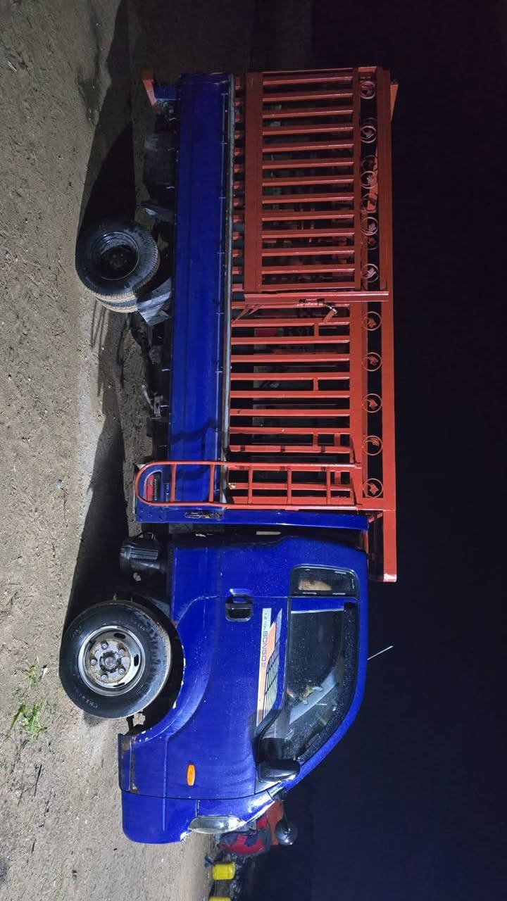 سلام عليكم كيا حمل فحل موديل 2015
رقمه بصره السعر 115وبيه مجال  ومكان سياره كربلاء رقم البايل 
***********
