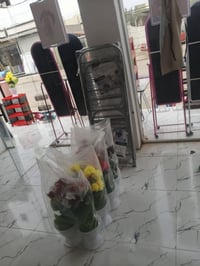 سبلاش وكزمتك • افتتاح • شارع شيخ قحطان