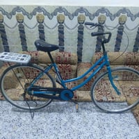 باسكل أصلي • للبيع • بي مجال