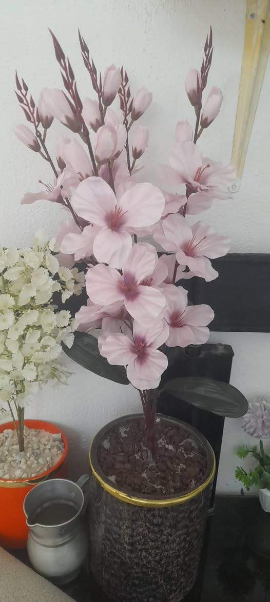 ورد صناعي


**إذا كنت صاحب هذا الإعلان وتريد حذفه لأي سبب، رجاءا أرسل رسالة إلى الدعم الفني**