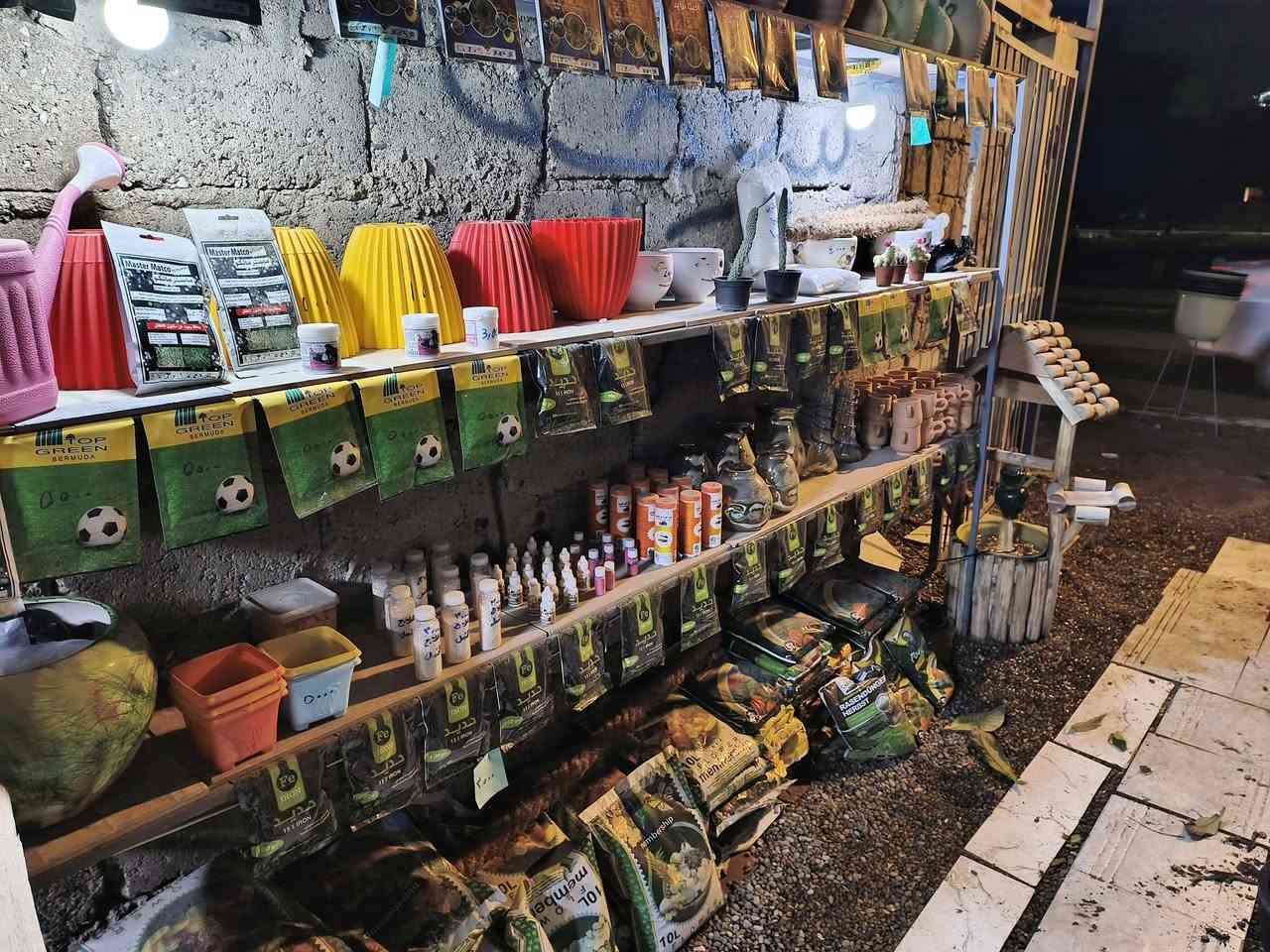 الـسـلام عـلـيـكـم 🩵🙋🏻‍♂️
نُعلن عن وصول وجبة جديدة من النباتات إلى
🌿 مشتل دوميز 🌿
ترقّبوا أقوى العروض والأنواع المميزة قريبًا ✨
لأصحاب الذوق الراقي ومحبي الطبيعة 💚🌱
شكراً لاختياركم #مشتل_دوميز
جـمـال حـديـقـتـك🖤 يـبـداء مـن مـشـتـل دومـيـز🌳
♦#....بيش يبيعون اني ارخص.منهم💪
♦ العرض مستمر لحين.انتهاء الكميه💥💥💥💥
          💞#مشتل_دوميز💞
♦موصل الايسر •حي الساهرون
♦🔥🖤━شارع_✘✘_المولدات━🩵🔥
       موصل الايسر #حي_الساهرون شارع المولدات
♦✧════•❁❀❁•════✧
للحجز والاستفسار واتساب فايبر
♦***********
✧════•❁❀❁•════✧
متوفر توصيل داخل #الموصل_الحبيبه🩵🫂
♦***********واتساب فقط

#مشتل_دوميز #نباتات_منزلية #نباتات_داخلية #تجهيزات_زرع #نباتات_الموصل #ديكور_نباتي #عشاق_النباتات #نباتات_ظل #نباتات_زينة #موصلنا_خضرا #نباتات_للبيت #تنسيق_نباتات #هدايا_خضراء #نباتات_وعناية #AL_MOSUL @إشارة
