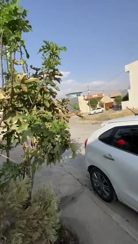 السلام عليكم بيت للبيع في سليمانية البيت  طابو صرف 200 م قريب جدا وبدون خط عن المدارس العربية المجانية الحكومية التابعة البغداد مي متوفر بين يوم ويوم على طول السنة  اكو كاونتر حديث مع البيت في المطبخ البارد. والحار منطقة جدا هادئة  تبليط مجاري ارض منبسطة  شوارعها عريضة ومنطقة أمينة جدا  واحسن جيران  ناسها   طاسلوجة حي الاسايش  دخول المنطقة الفرع العريض الي قبل لاتو صل مرور سليمانية  خلف المرور المنطقة الطابو صرف السعر ب5 شدات  و50 ورقة هاي  صورة الشارع  والمطبخ فديو البيت للشراي فقط.  علما أن صاحب البيت من سكنة بغداد


**إذا كنت صاحب هذا الإعلان وتريد حذفه لأي سبب، رجاءا أرسل رسالة إلى الدعم الفني**