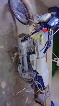 تايكر سونك • مديل 24 • اوراق كارتونية