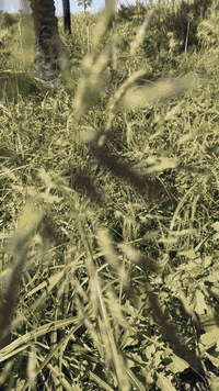 المدائن سلمان باك • ٢ دونم • خدمات كاملة