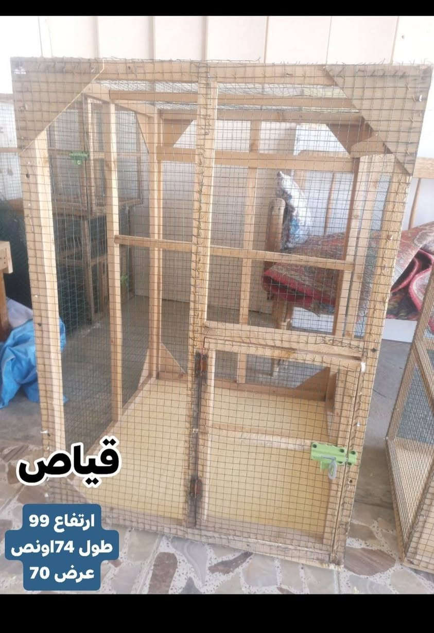 السلام عليكم قفاصه خشب للبيع مكاني نجف الاستفسار مراسله خاص خاص يوجد خدمه توصيل


**إذا كنت صاحب هذا الإعلان وتريد حذفه لأي سبب، رجاءا أرسل رسالة إلى الدعم الفني**