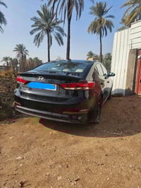 النترا • ٢٠١٧ • رقم اربيل