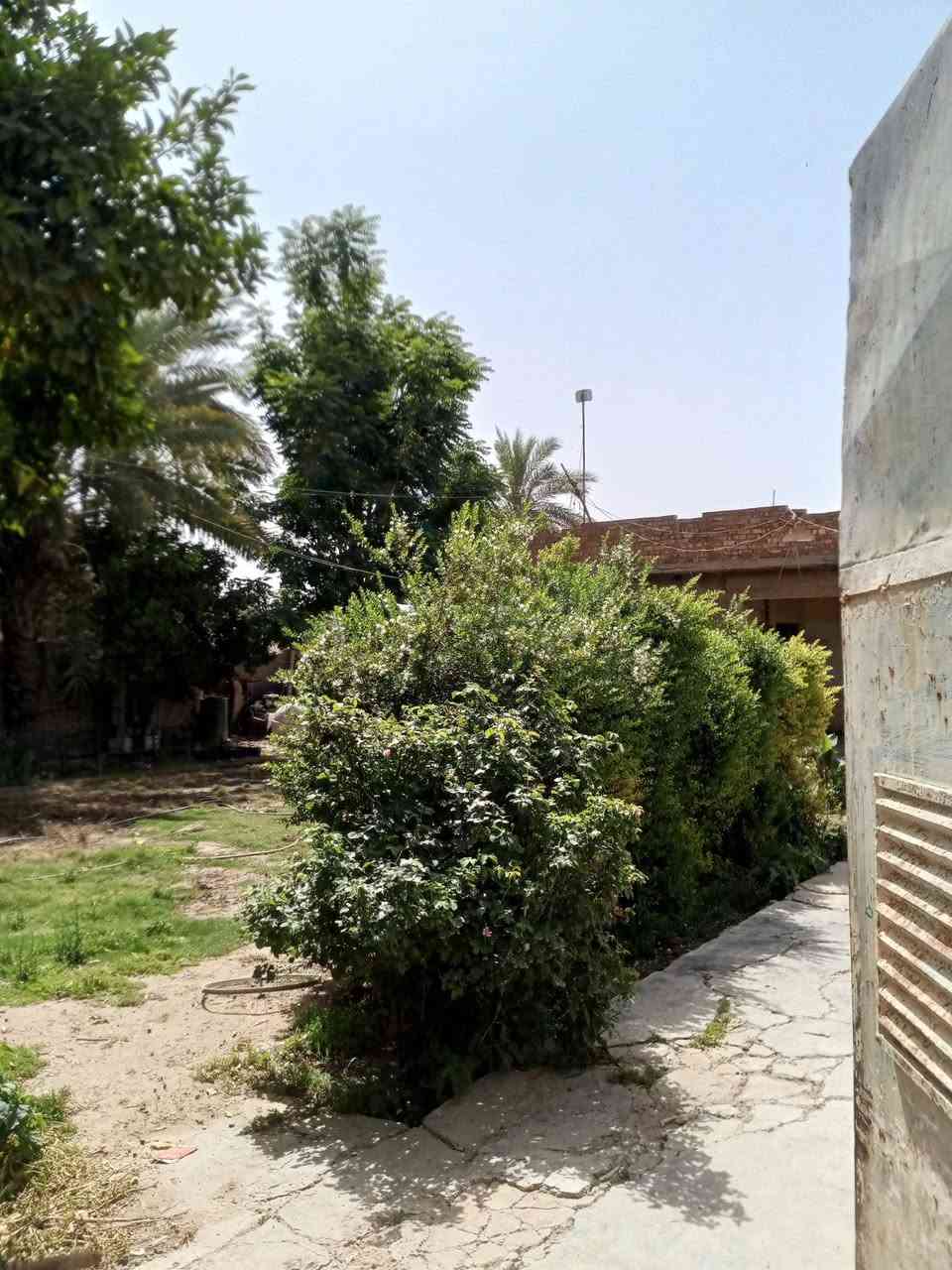 السلام عليكم البيت للبيع المساحه 824متر طابو ملك صرف المكان صلاح الدين الضلوعيه الاتصال عل الرقم  ***********

