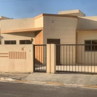 زهور الفلوجة ٢ • دار جديد • ٢٥٠م
