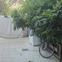 سومر ١١٢ • ١٠٠م • سند طابو