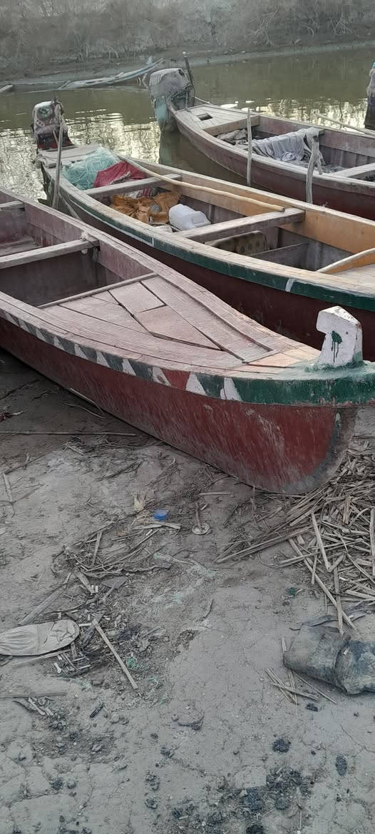 سلام عليكم بلم للبيع السعر مناسب 375وبيه مجال العنوان ذي قار قضاء الجبايش ناحية المنار للاستفسار الاتصال على الرقم ***********
