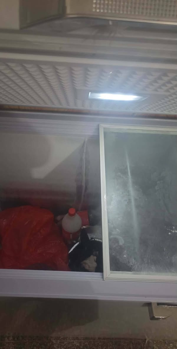 مجمد جديد بلكارتون استعمال شهرين نوعيتو رويال الرحماني حجمو 16 سعرو 300


**إذا كنت صاحب هذا الإعلان وتريد حذفه لأي سبب، رجاءا أرسل رسالة إلى الدعم الفني**