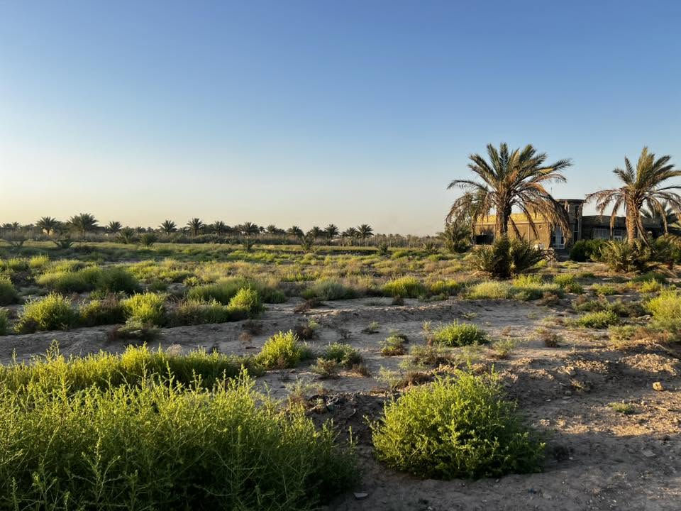 1325 متر للبيع 

و اجهة. 25م  ونزال 53 م

طابو زراعي سند 25 باسم شخص واحد فقط نقل ملكية مباشر 

موقع الارض طريق حلة نجف قرب جامعة بابل 

تبعد عن شارع حلة نجف 700 متر 

ماء اسالة مستمر 

للاستفسار ***********
