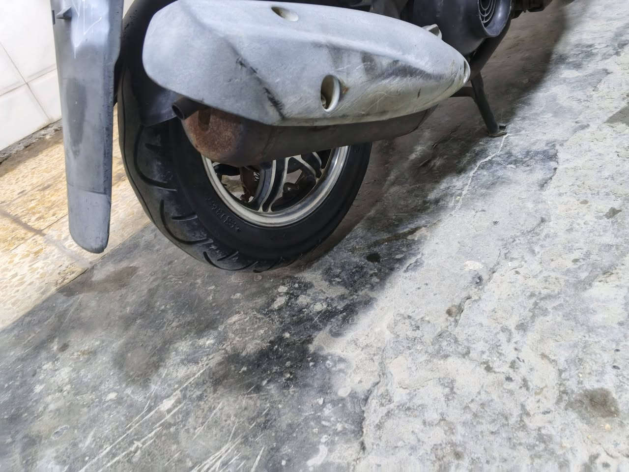 ويل نجمة مكفول مال رمبة للبيع السعر 225 بغداد العبيدي الاتصال ***********
