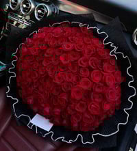 ورود • تخرج • السليمانية