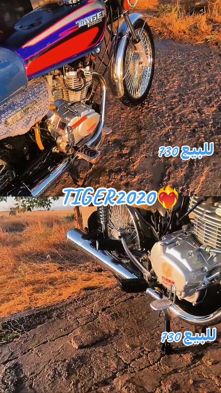 للبيع تايكر 20 
اثنينهم شرط من التاير للتاير 
خابر او نتفاهم 
730 سهل نينوى برطلة
❤️‍🔥✈️


**إذا كنت صاحب هذا الإعلان وتريد حذفه لأي سبب، رجاءا أرسل رسالة إلى الدعم الفني**