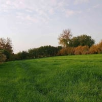 المدائن التويثه • ٢ دونم • سند ٢٥