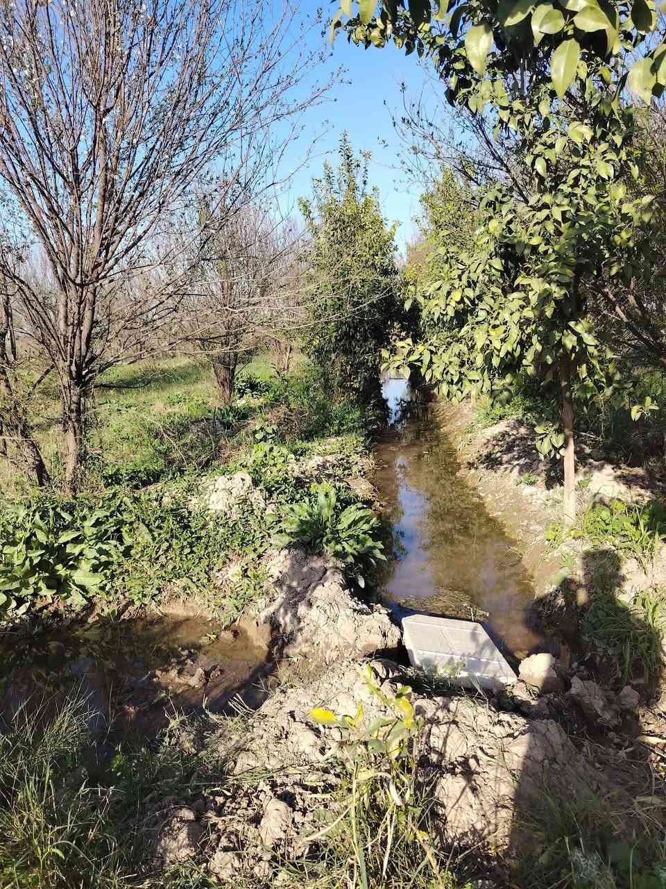 10 دونم بستان طابو زراعي سند 25 كامل الخدمات عالشارع مباشر بغداد الدورة عرب جبور سعر الدونم 160
للاستفسار الاتصال ***********
*********** #عرب_جبور #أراضي_للبيع #سكن_للعقار
