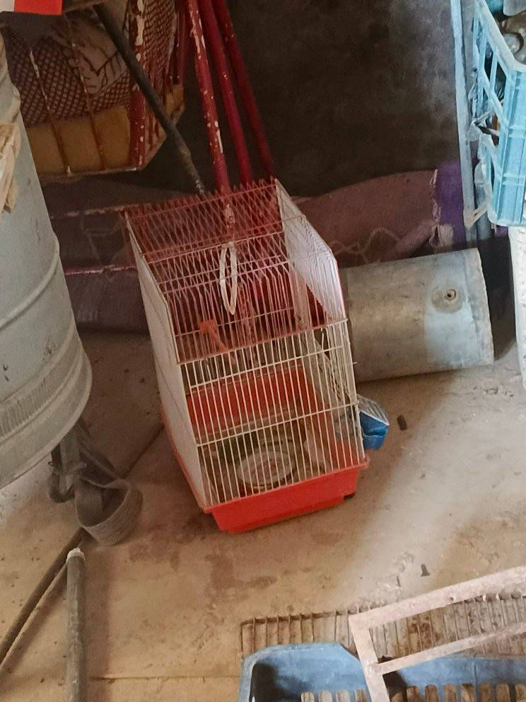 أغراض منزلية للبيع 
مكان سومر 
تواصل خاص


**إذا كنت صاحب هذا الإعلان وتريد حذفه لأي سبب، رجاءا أرسل رسالة إلى الدعم الفني**