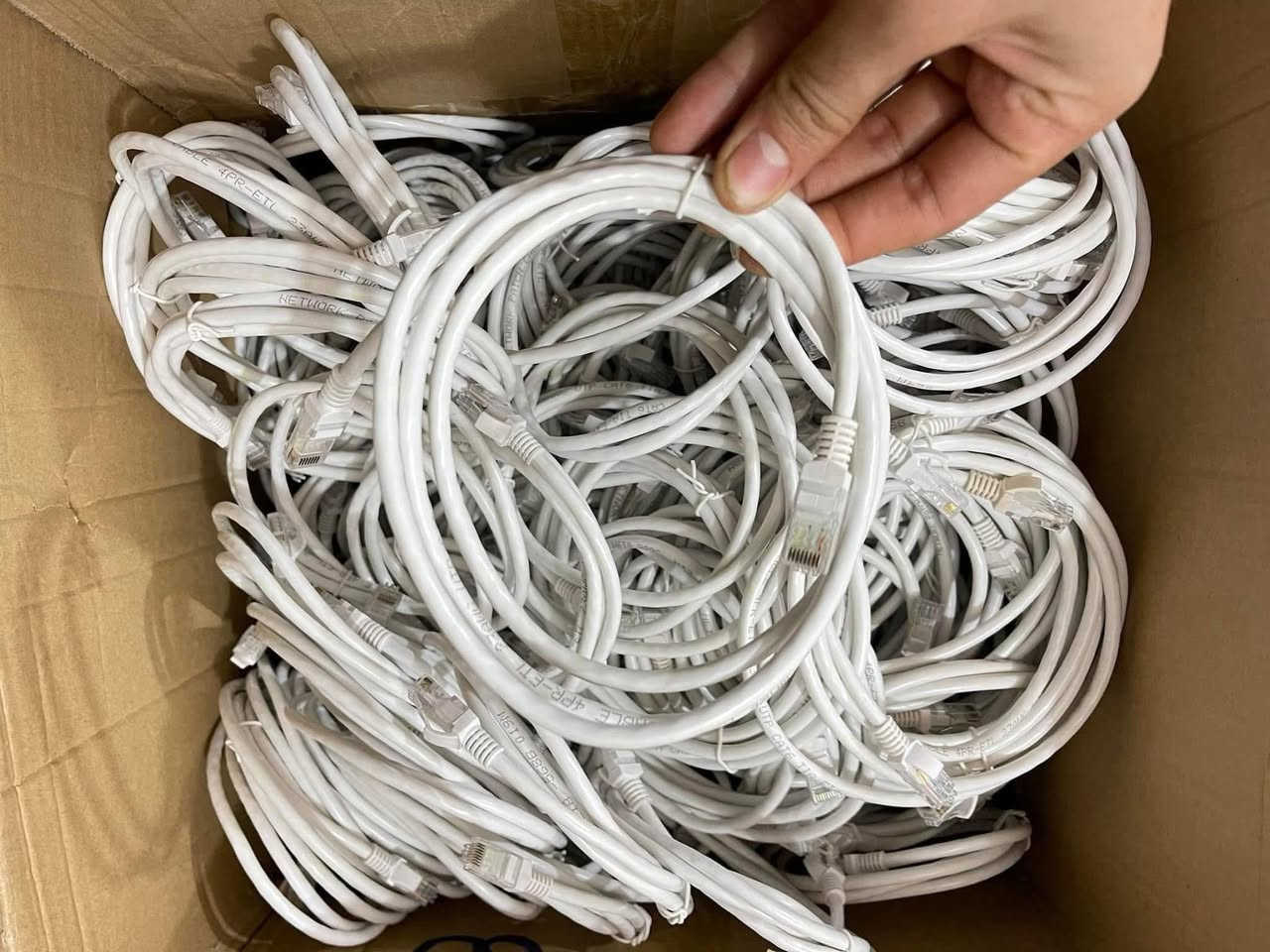 كيبل انترنيت طول متر ونص
ورصاصي طول متر

يعبر واحد كيكا

السعر ٥٠٠ دينار للقطعة

توصيل لكل محافظات العراق ٣  الف


**إذا كنت صاحب هذا الإعلان وتريد حذفه لأي سبب، رجاءا أرسل رسالة إلى الدعم الفني**