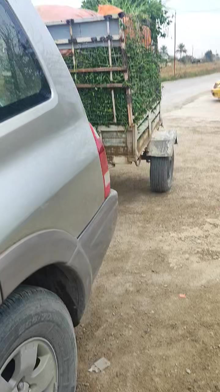 *********** باجيرو نظيفه الثمانين باميه بسمي السعر خمسه اوتسعين أبيه مجال بيع او مراوس بيكم نيباره
