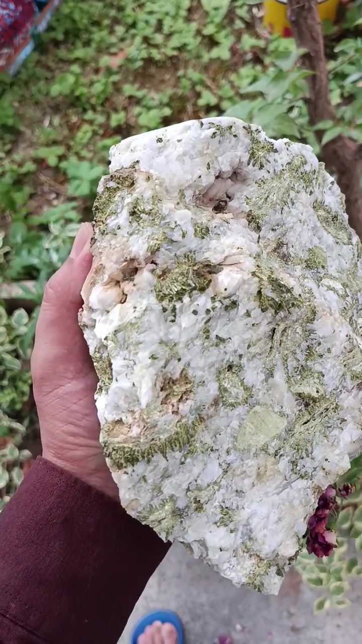 حجر در و اپیدوت حجم کبار
سعرە ٢٠ الف
٢٥ الف مع التوصیل


**إذا كنت صاحب هذا الإعلان وتريد حذفه لأي سبب، رجاءا أرسل رسالة إلى الدعم الفني**