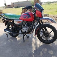 بوكسر جبلي • ٢٠٢٣ • ورق صولي