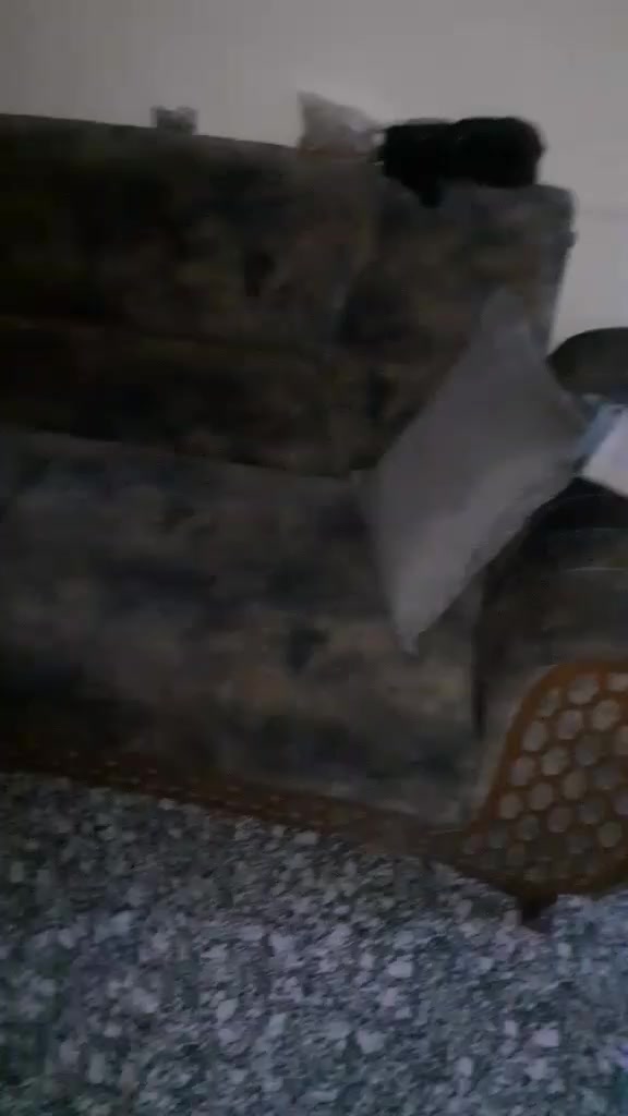 تخم 10مقاعد نضيف مابي اي ضرر بس رجل وحده مكسوره سعر 350عنوان بغداد الغزاليه
اخذ سكرين وتعال خاص


**إذا كنت صاحب هذا الإعلان وتريد حذفه لأي سبب، رجاءا أرسل رسالة إلى الدعم الفني**