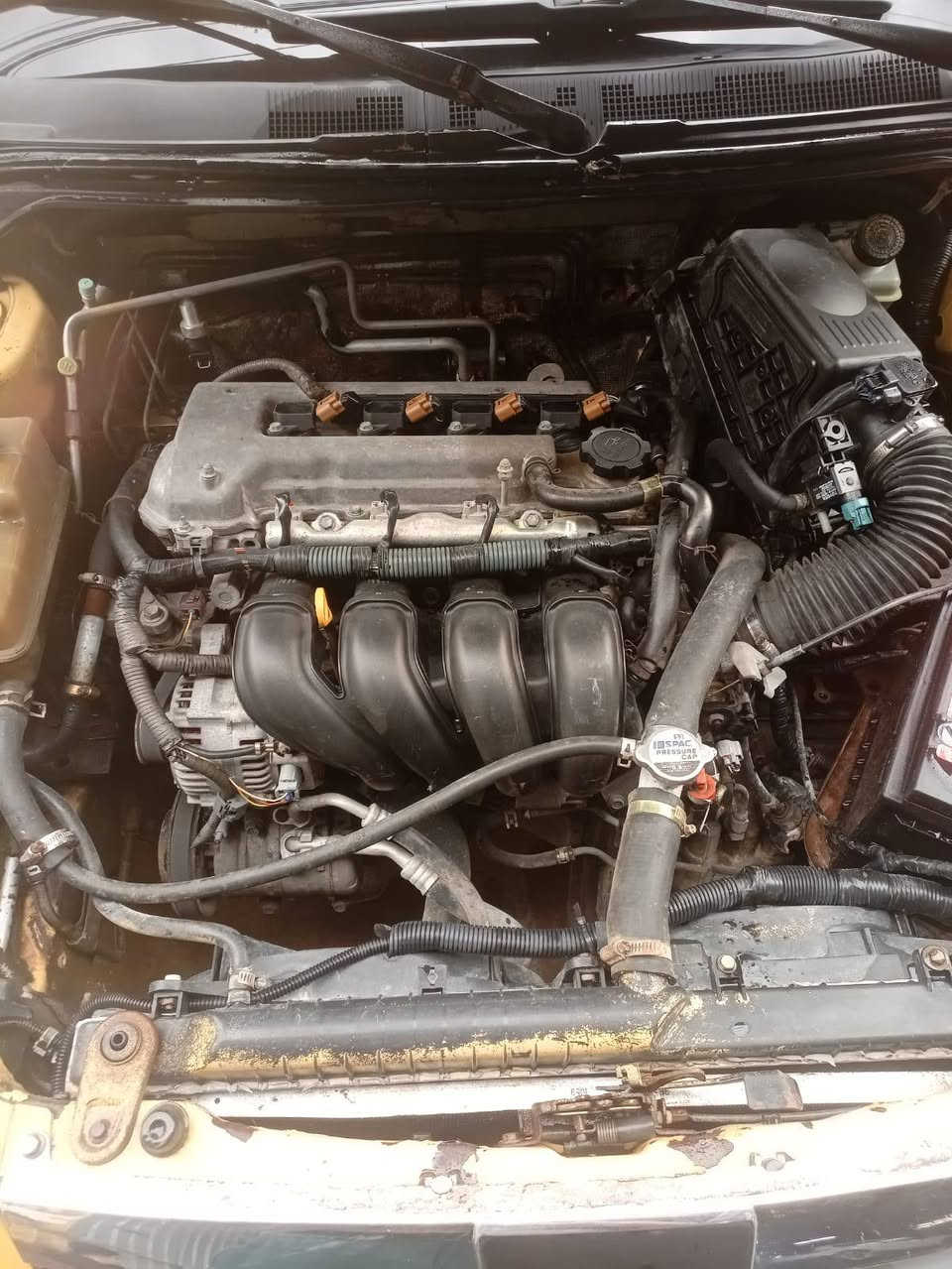 سلام عليكم ورحمة الله وبركاته شباب شيري للبيع موديل ١١كامله مابيهة نقص مكانهة بغداد الامين مصفرة هيئة وغرامات السياره باسمة يحول ثاني يوم ‏‪***********‬‏ هذ رقم صاحب السيارة
شباب اني مكلف بل نشر اكرر اني مكلف بل نشر
