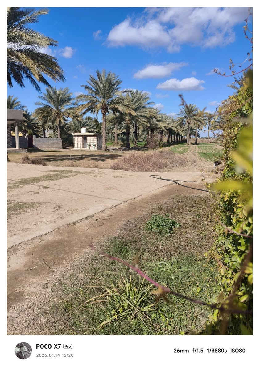 سلام عليكم
مزرعة البيع المساحة 4دونم مع بيتين +بتلو

صحيات خارجية استقبال خارجي
العنوان بابل مشروع المسيب الطاهريه 

وتبعد عن شارع حله بغداد 400متر

الاستفسار للاتصال ع لارقام التالية

***********

***********
